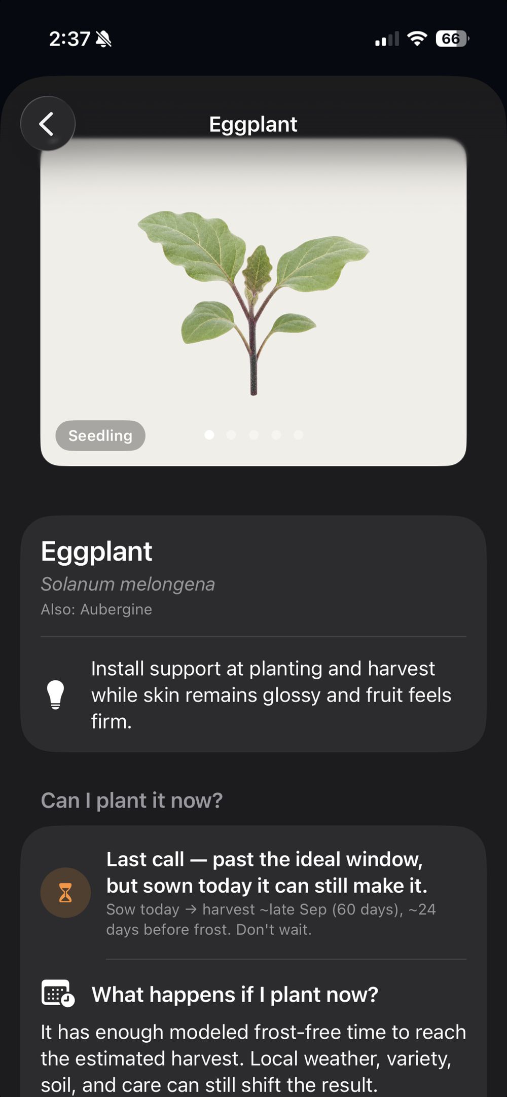 A plant page for eggplant showing whether it can still be planted today